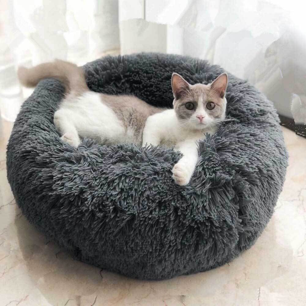 Ultra-Soft Calming Cat Bed with Raised Rim for Comfort and Security – Plush Fabric, 24x24 Inches, Machine Washable 9