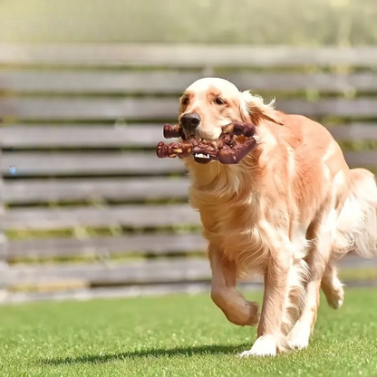 Durable Chew Toy for Heavy Chewers – RobustApe Interactive Dog Toy