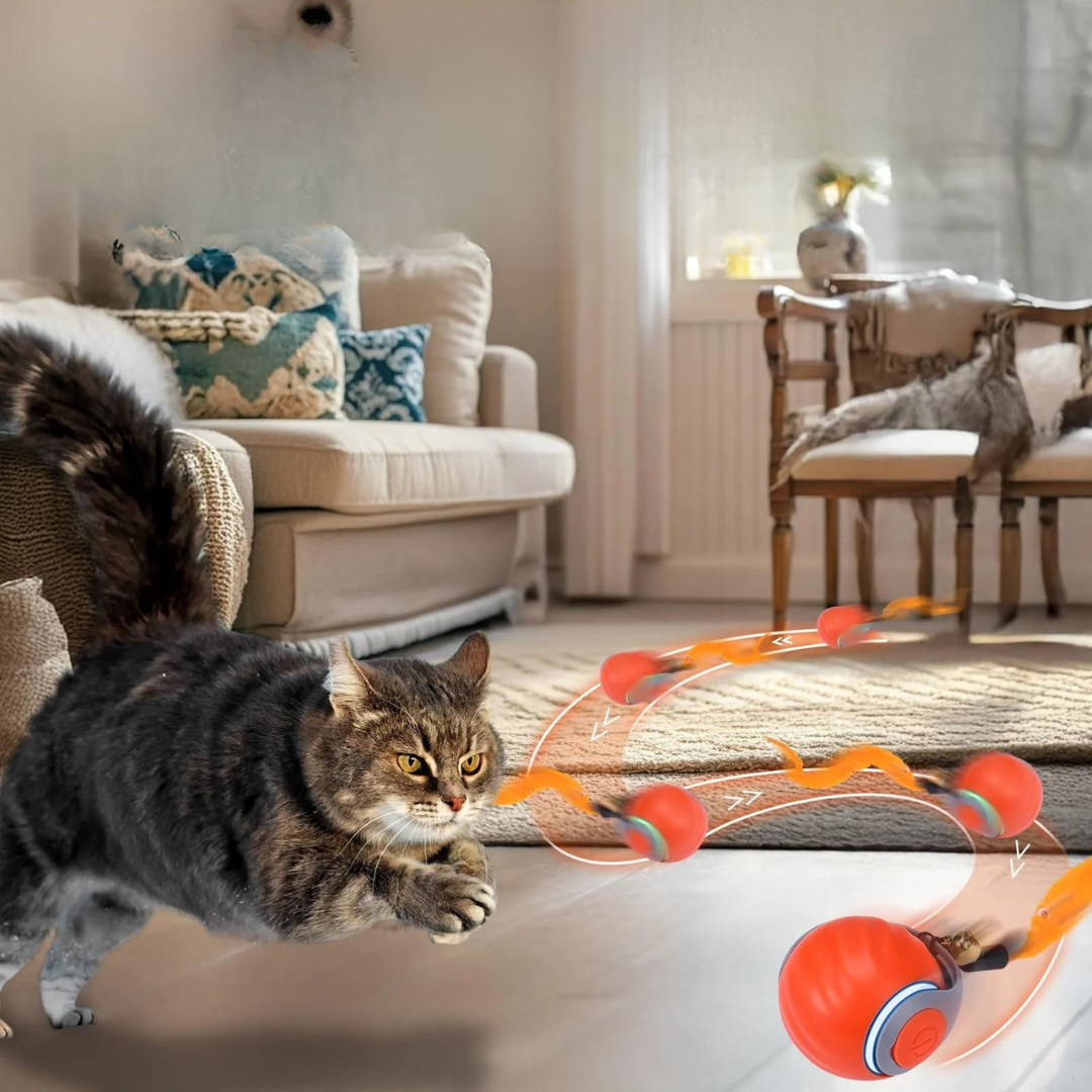 Interactive Electric Rolling Ball Toy for Cats with Teasing Tail – High-Speed Fun