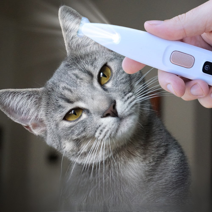 Cat Hair Trimmer with Low-Noise Operation and Precision Blades – Cordless Cat Clippers for Stress-Free Grooming