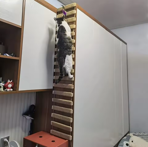 Wall-Mounted Cat Climbing Bridge and Ladder – Space-Saving Indoor Adventure for Active Cats 4