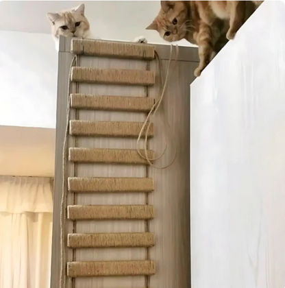 Wall-Mounted Cat Climbing Bridge and Ladder – Space-Saving Indoor Adventure for Active Cats 5