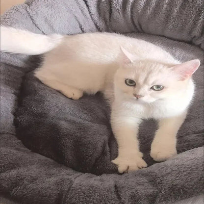 Warm Dog Bed and Cat House Sofa – Soft Cotton Cushion for Large and Medium Pets, Cozy Plush Sleeping Area 5