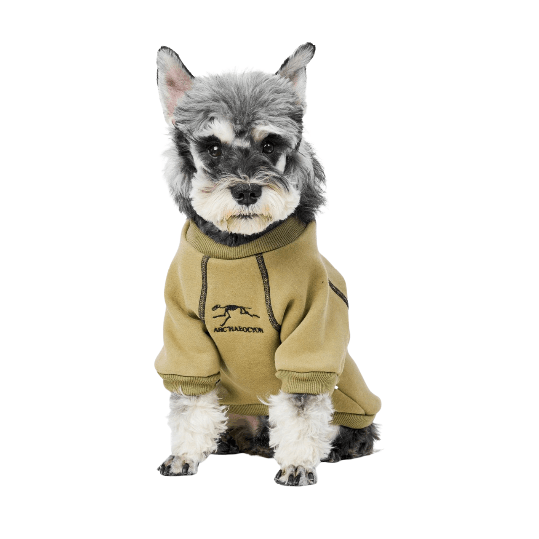 Warm Fleece-Lined Dog Hoodie for Small to Medium Breeds – Cozy Dog Sweatshirt with Drawstring Hood and Zipper Closure 1
