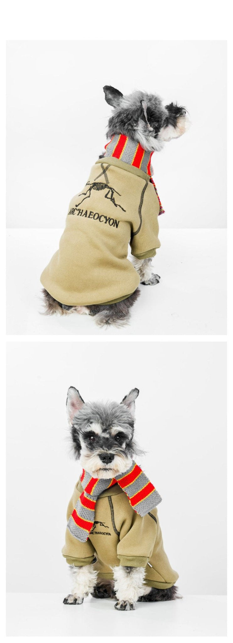 Warm Fleece-Lined Dog Hoodie for Small to Medium Breeds – Cozy Dog Sweatshirt with Drawstring Hood and Zipper Closure 3