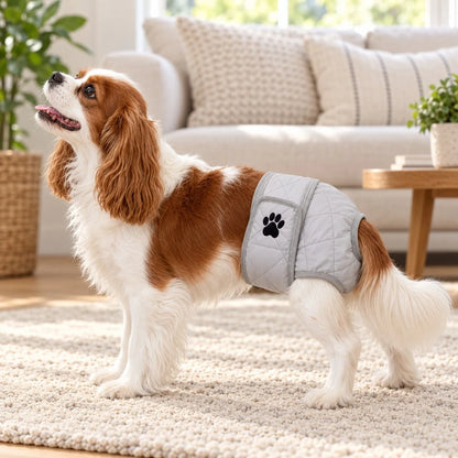 Washable dog diaper for female dogs featuring an adjustable fit, designed for heat cycles and incontinence, made from soft quilted fabric for comfort and durability 0