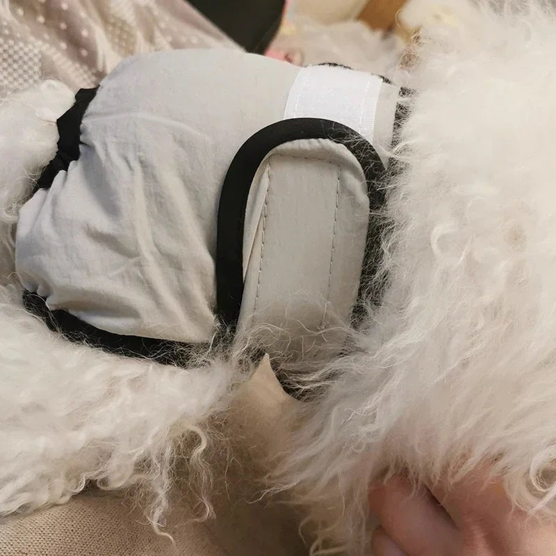 Washable Dog Diaper for Females – Reusable, Adjustable, Comfortable for Incontinence and Heat – Soft Cotton Blend 3