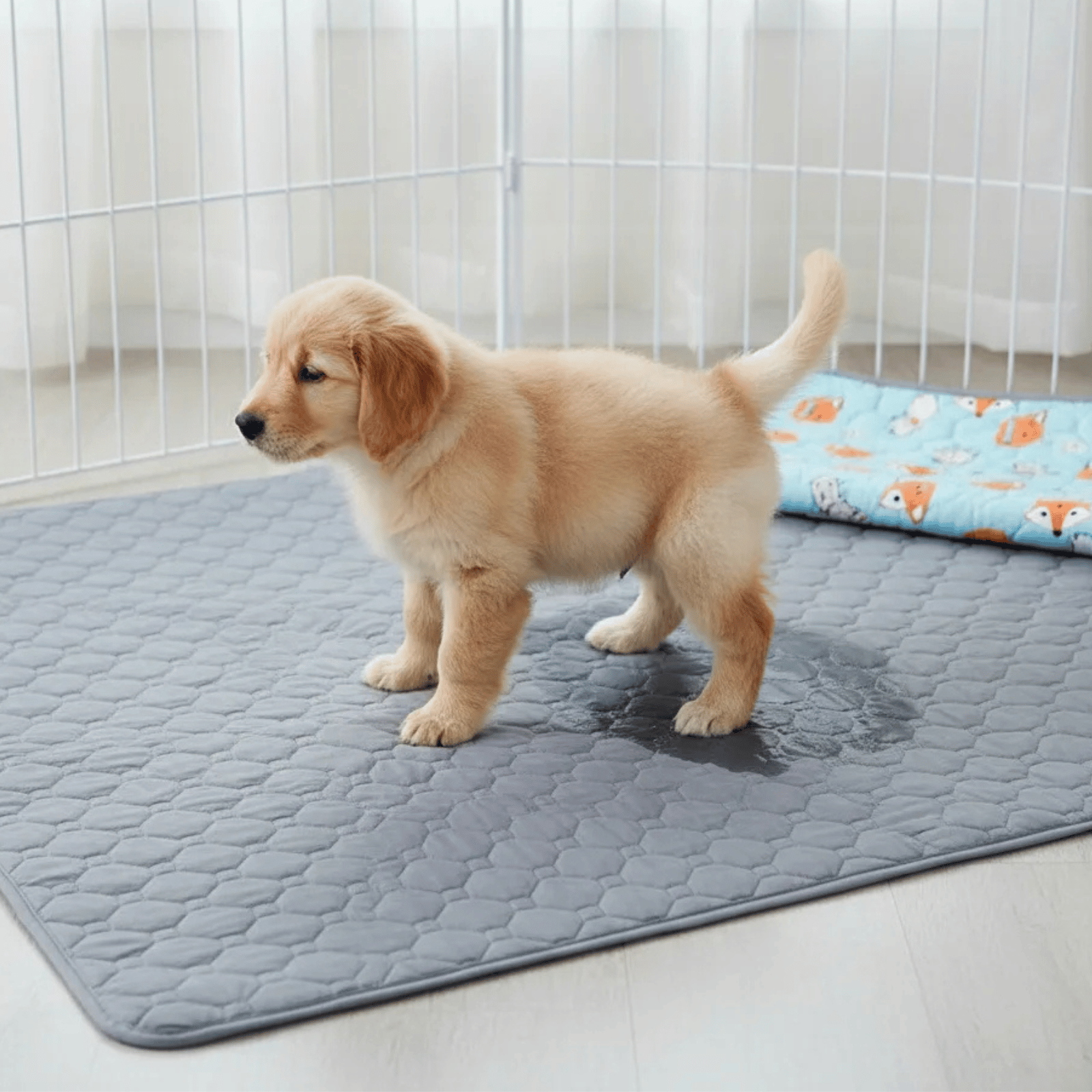 Washable Dog Training Pad - Reusable Non-Slip Pee Pads for Puppies and Incontinence - 4-Layer Waterproof Design 2