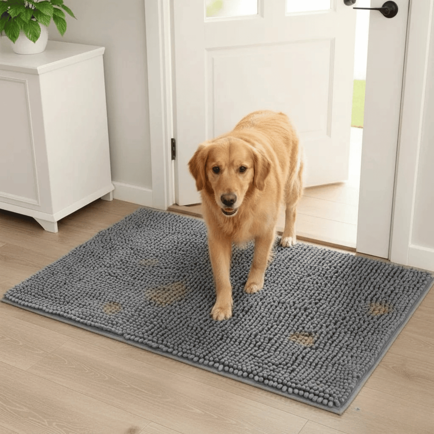 Water Absorbent Chenille Dog Doormat with Non-Slip Backing – Indoor Pet Mat 2