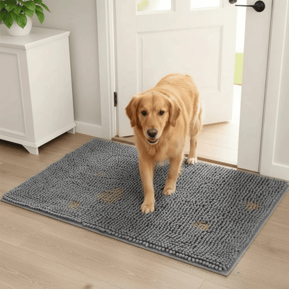 Water Absorbent Chenille Dog Doormat with Non-Slip Backing – Indoor Pet Mat 2