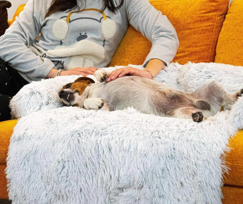 Waterproof Dog Blanket for Couch – Soft Hypoallergenic Plaid Design, Furniture Protection, Easy to Clean 3