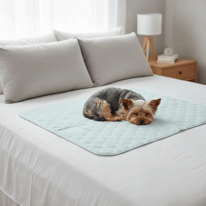Waterproof Dog Blanket with High Absorbency – Soft, Washable 4-Layer Design for Incontinence and Pet Comfort in Blue 4
