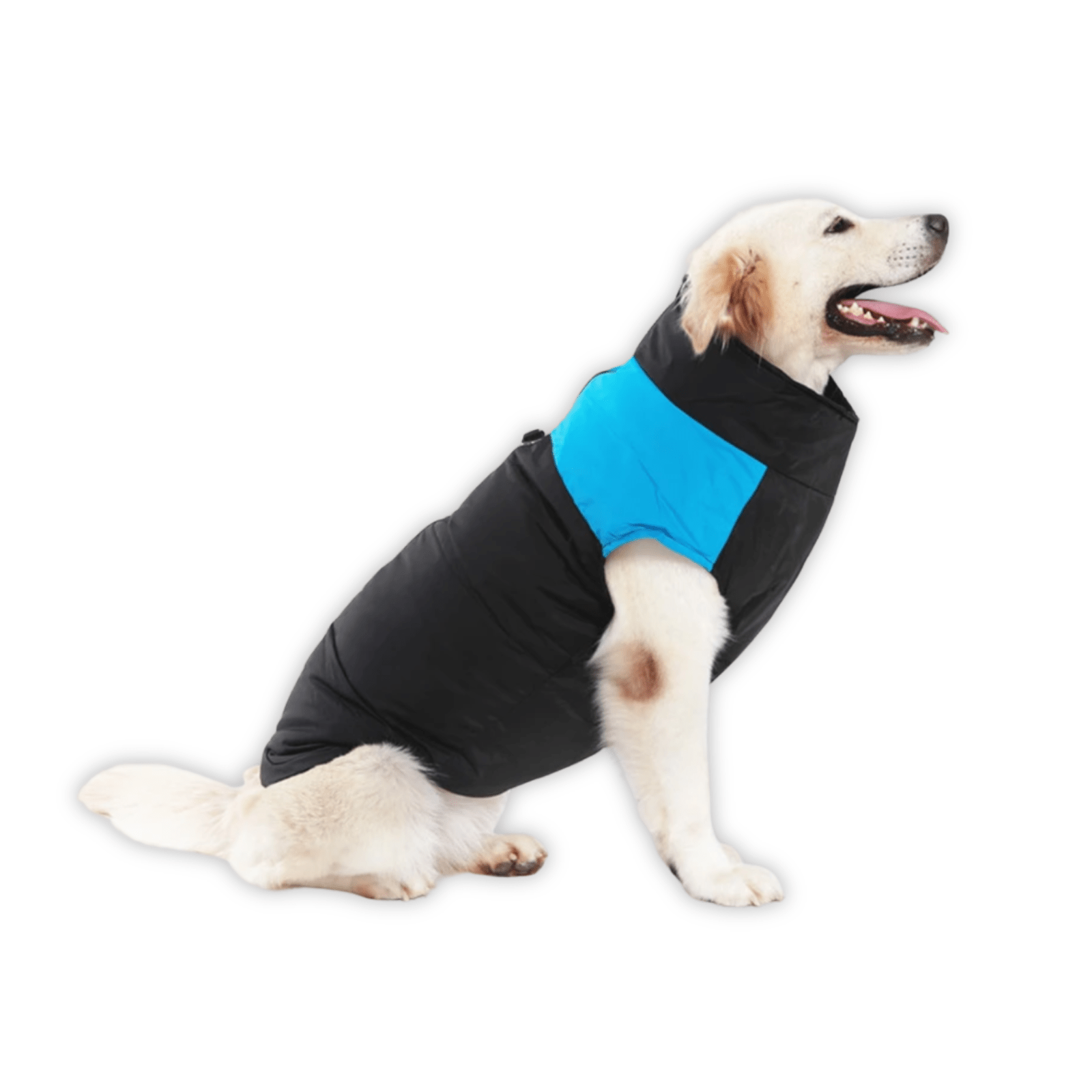 Waterproof Dog Coat for Winter - Adjustable Fit, Warm Lining, D-Ring Leash Attachment, Available in Multiple Colors 1