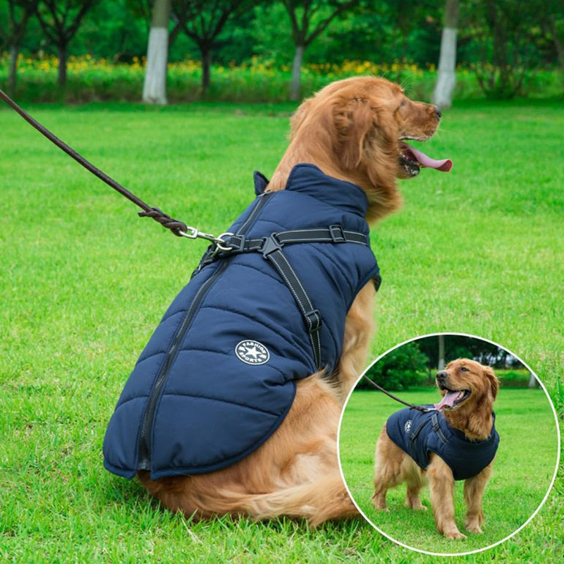 Waterproof Dog Coat for Winter – Comfortable Jacket for Older Dogs in Multiple Sizes, Weatherproof and Easy to Clean 0