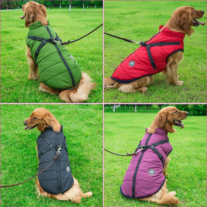 Waterproof Dog Coat for Winter – Comfortable Jacket for Older Dogs in Multiple Sizes, Weatherproof and Easy to Clean 2