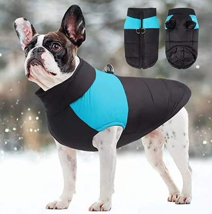 Waterproof Dog Coat with Warm Lining – Comfortable Winter Jacket for All Sizes 0
