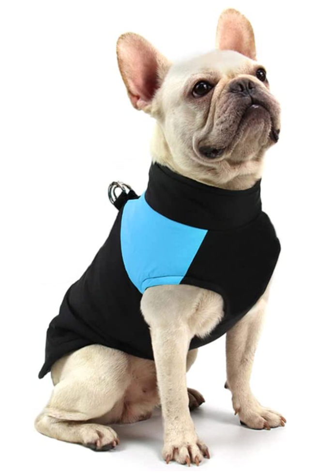 Waterproof Dog Coat with Warm Lining – Comfortable Winter Jacket for All Sizes 1