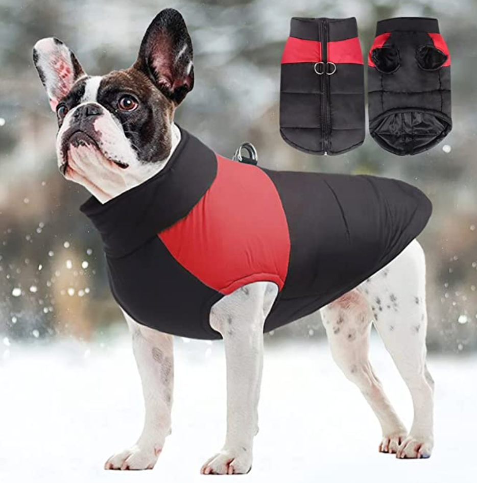 Waterproof Dog Coat with Warm Lining – Comfortable Winter Jacket for All Sizes 2