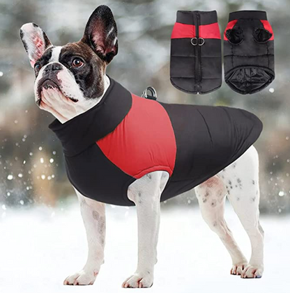 Waterproof Dog Coat with Warm Lining – Comfortable Winter Jacket for All Sizes 2