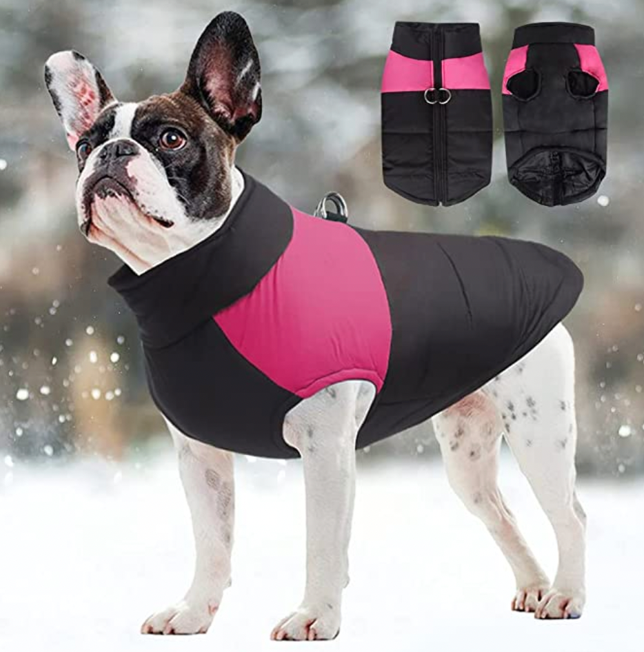 Waterproof Dog Coat with Warm Lining – Comfortable Winter Jacket for All Sizes 4