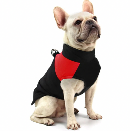 Waterproof Dog Coat with Warm Lining – Comfortable Winter Jacket for All Sizes 6