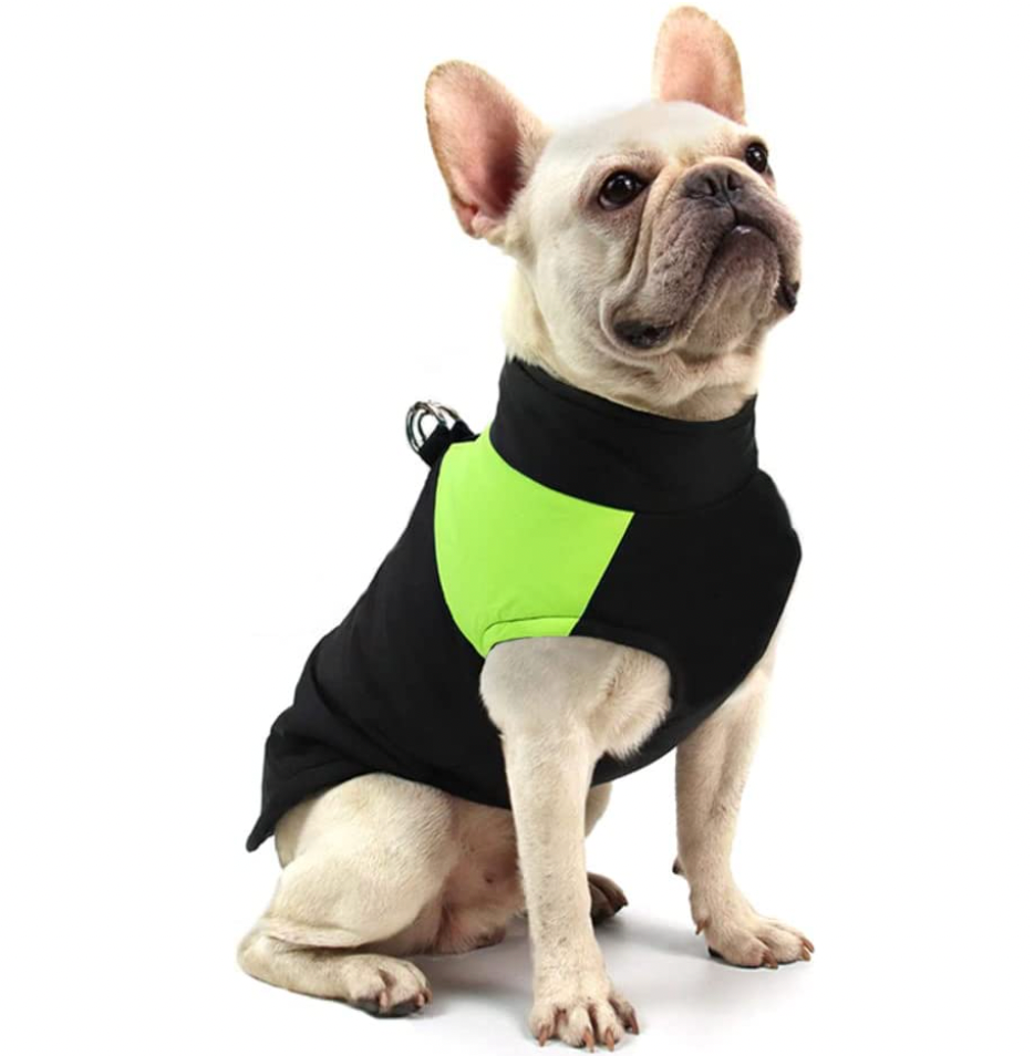 Waterproof Dog Coat with Warm Lining – Comfortable Winter Jacket for All Sizes 7