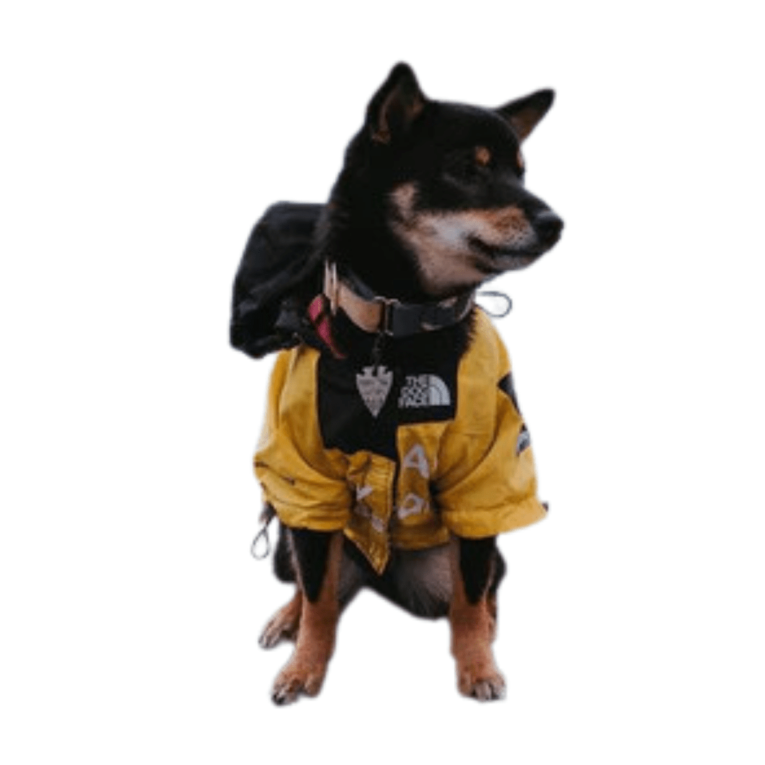 Waterproof Dog Jacket with Adjustable Fit – Breathable Raincoat for Winter Outdoor Activities, Reflective Accents, Sizes S to 5XL 1