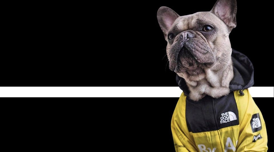 Waterproof Dog Jacket with Adjustable Fit – Breathable Raincoat for Winter Outdoor Activities, Reflective Accents, Sizes S to 5XL 5