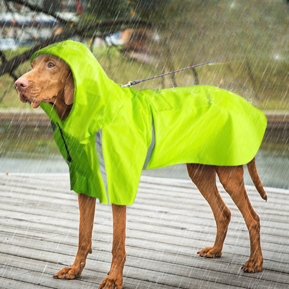 Waterproof Dog Raincoat with Adjustable Fit - Lightweight Dog Rain Jacket for All Breeds 6
