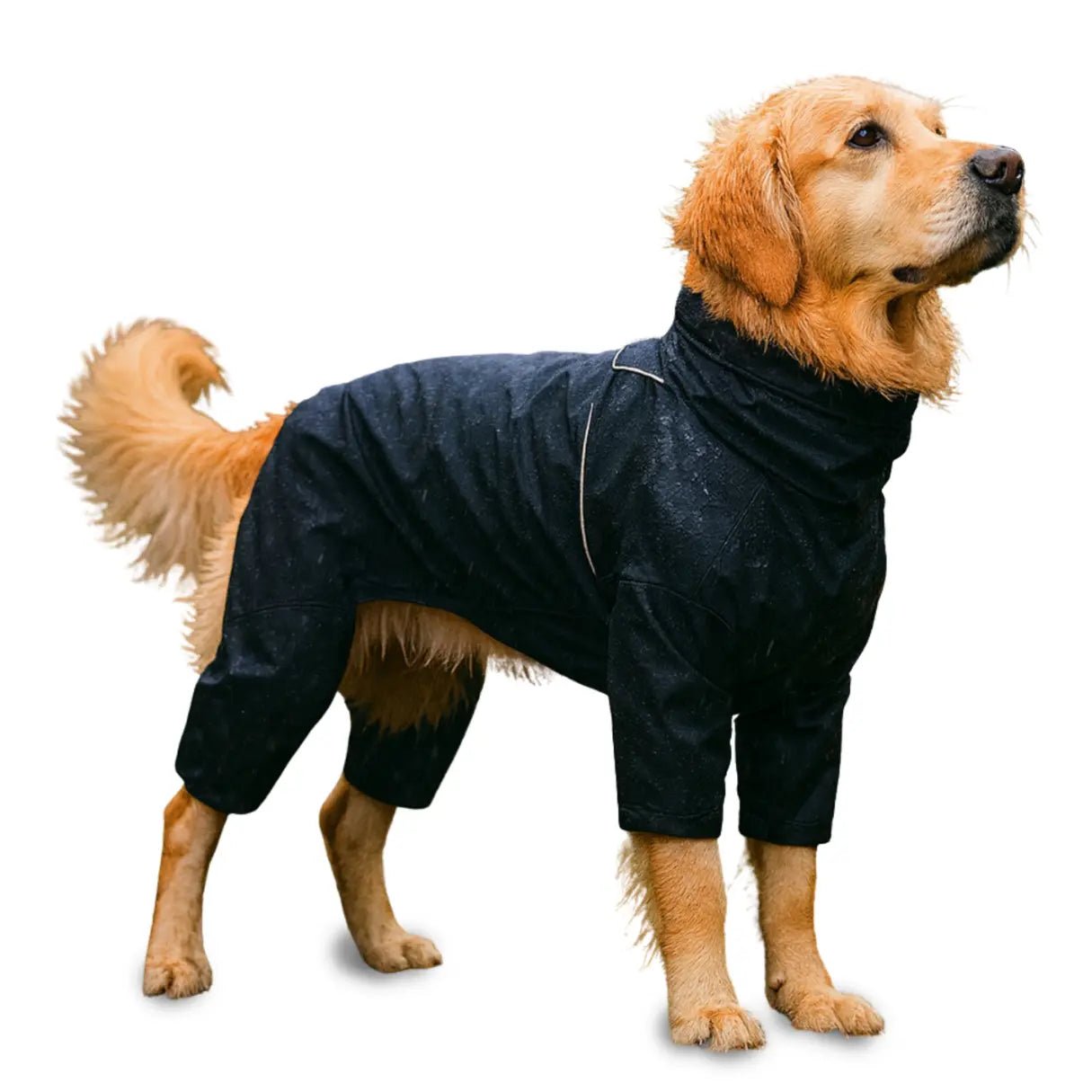 Waterproof dog raincoat with hood, designed for full coverage protection, made from lightweight polyester for all weather conditions. 0