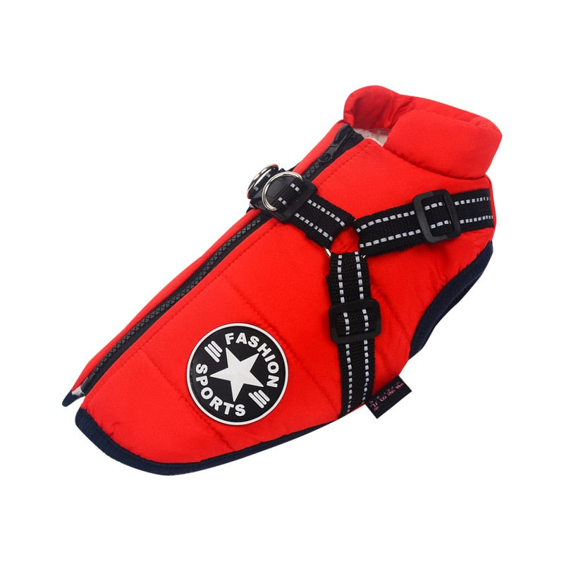 Waterproof Insulated Dog Coat for Cold Weather – Comfortable and Stylish Pet Jacket 6