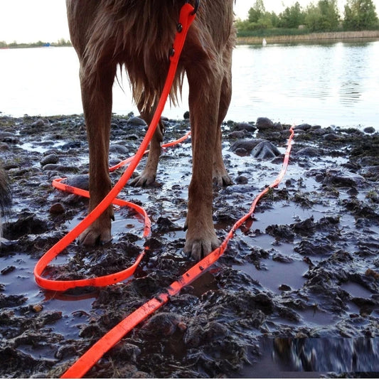 Waterproof Long Dog Leash for Training and Walking – 10 to 50 ft Durable Outdoor Leash 1