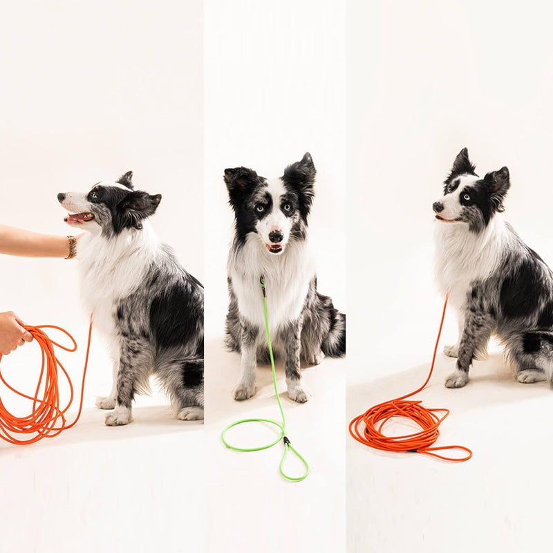 Waterproof PVC Dog Leash for All Breeds – Odor Resistant, Tangle-Free Design, Soft Grip, Available in Multiple Lengths 2