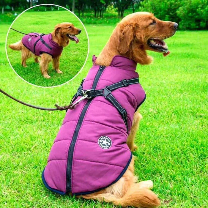 Waterproof Winter Dog Jacket with Sherpa Lining and Built-In Harness – All-Weather Protection 1