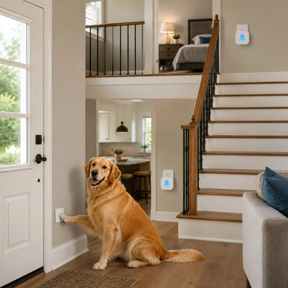 Wireless dog doorbell for potty training featuring a self-powered paw button and a modern plug-in receiver, designed for convenient and effective pet communication. 12