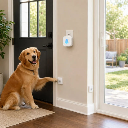 Wireless dog doorbell for potty training featuring a self-powered paw button and a modern plug-in receiver, designed for convenient and effective pet communication. 13