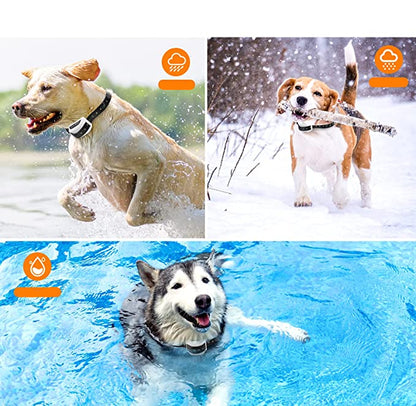 Wireless Dog Fence System with Adjustable Collar - Safe Boundary Training for All Dog Sizes, 80ft to 1640ft Range 2