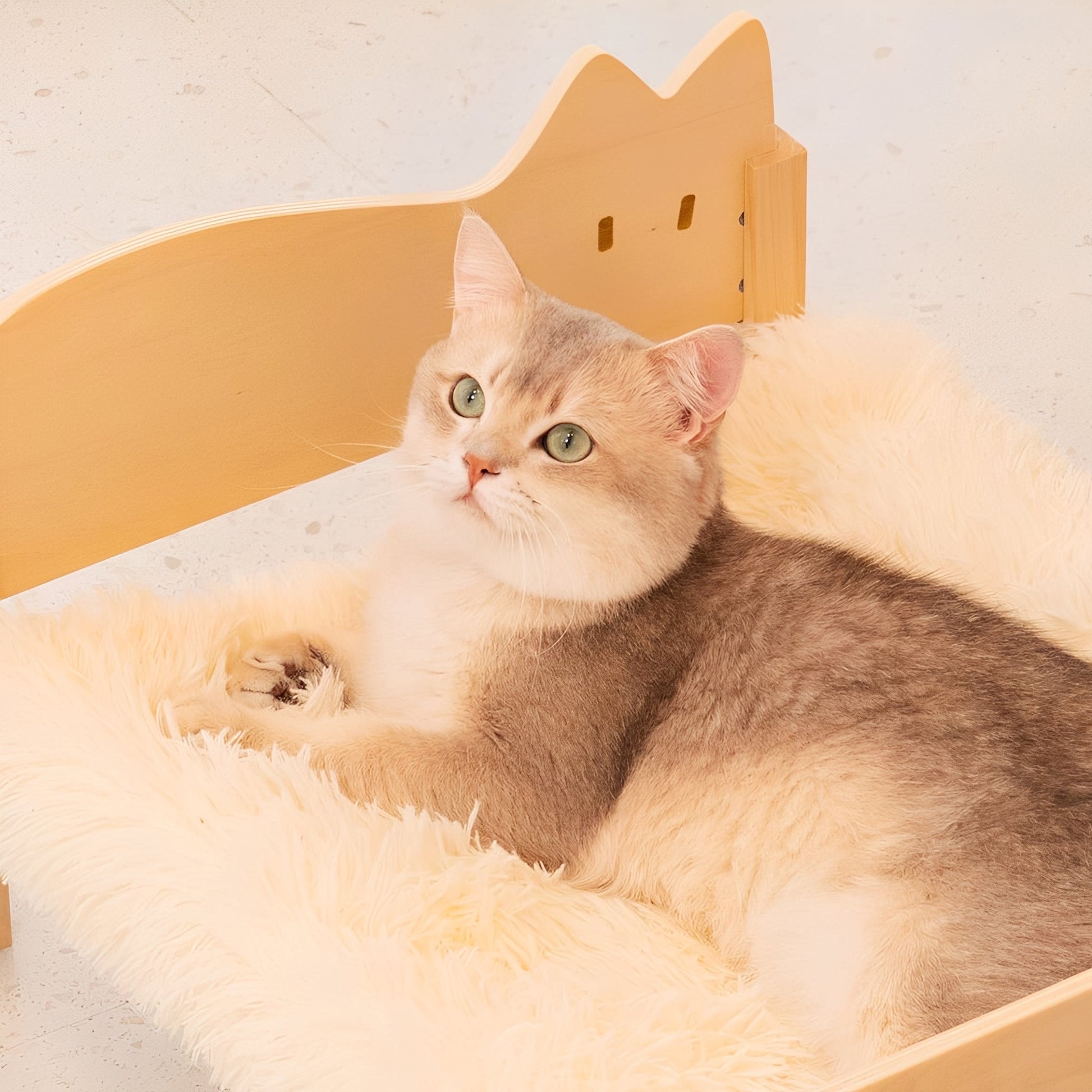 Wooden Cat Bunk Bed with Double Sleeping Areas – Compact and Washable Design for Small Spaces 2