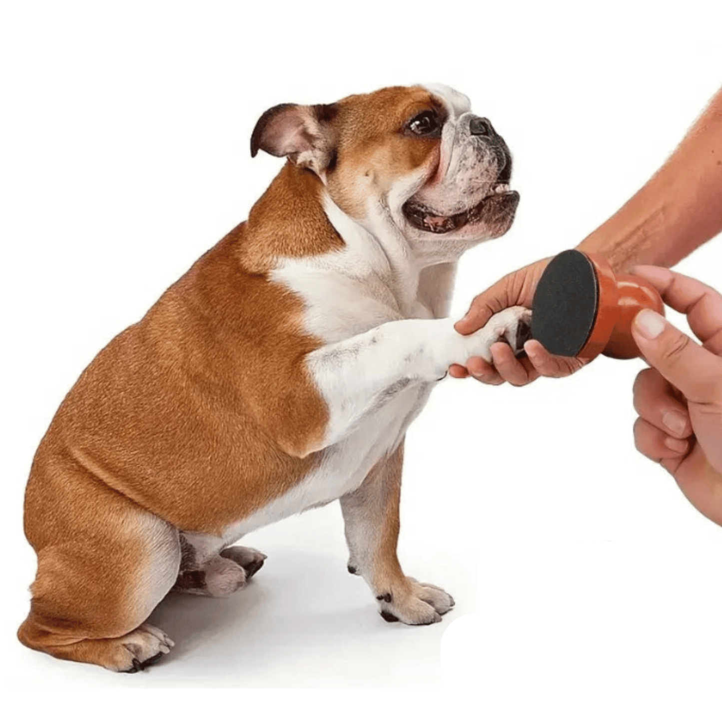 Wooden Nail File for Dogs and Cats – Durable Ergonomic Nail Care Tool with Sandpaper Surface, 8x8x7 cm 0