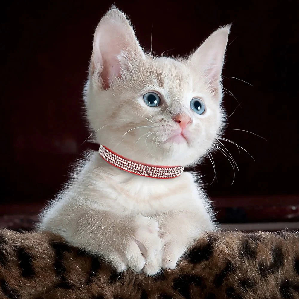 Soft Suede Rhinestone Pet Collar for Small Dogs and Cats – Adjustable and Stylish
