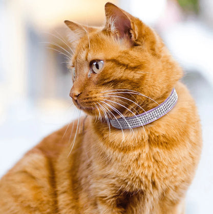 Soft Suede Rhinestone Pet Collar for Small Dogs and Cats – Adjustable and Stylish
