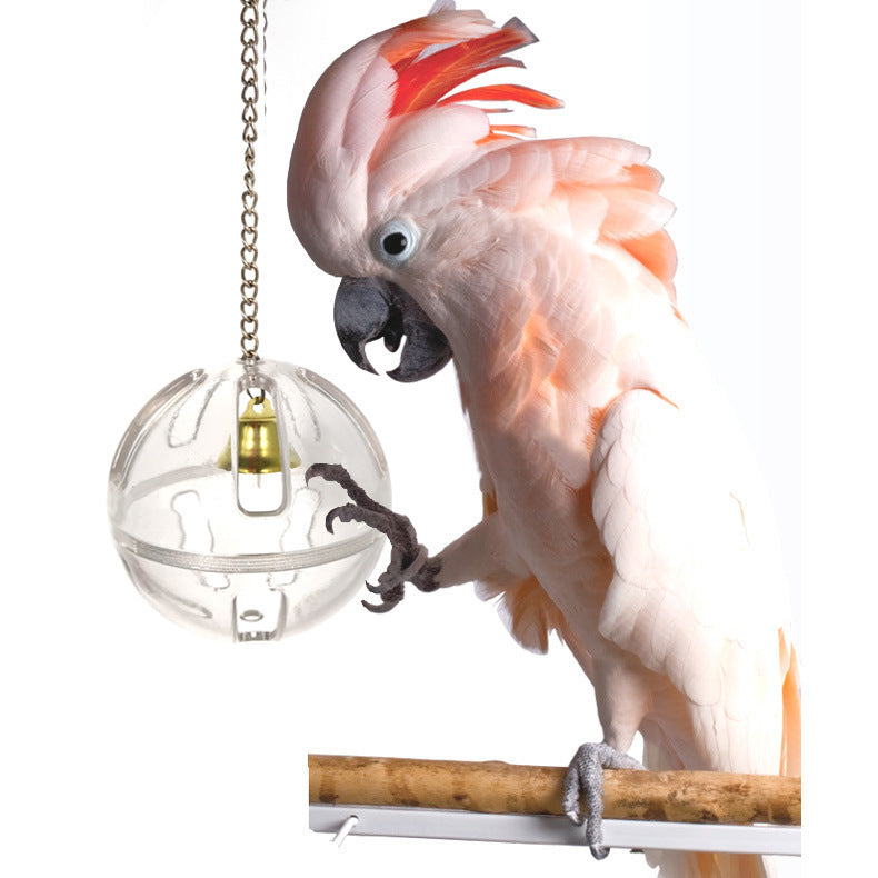 ForageFun Parrot Toy & Food Ball – Interactive Feeding & Enrichment Device