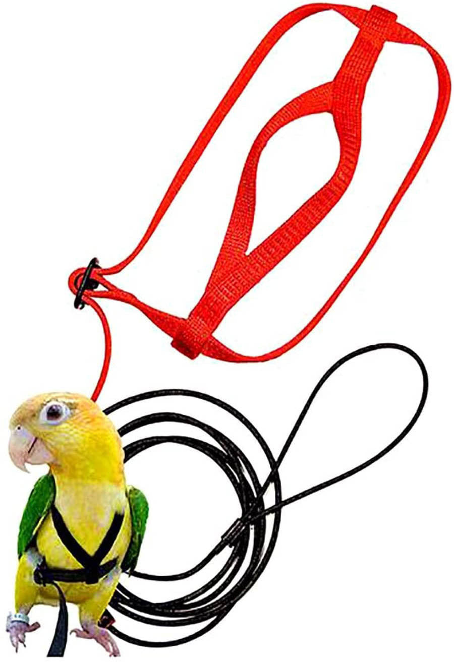 Parrot Harness & Flying Rope – Safe Outdoor Flight Gear for Birds