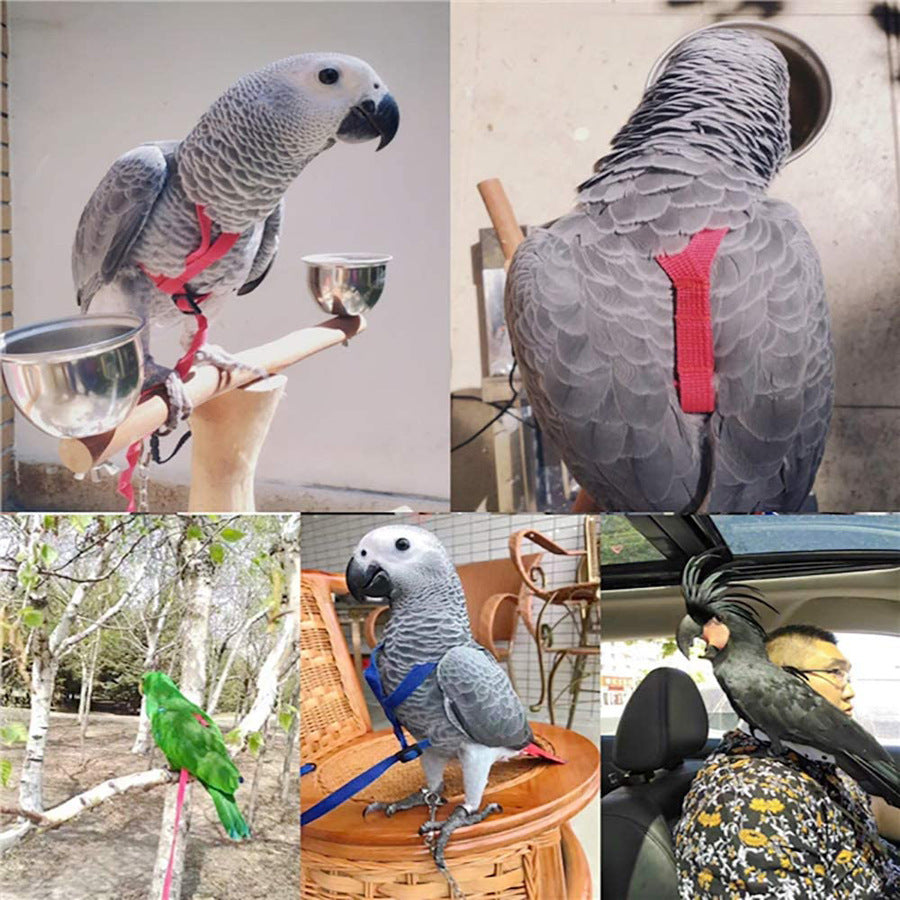Parrot Harness & Flying Rope – Safe Outdoor Flight Gear for Birds