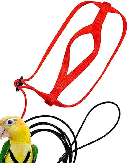 Parrot Harness & Flying Rope – Safe Outdoor Flight Gear for Birds