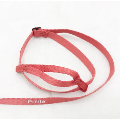 Parrot Harness & Flying Rope – Safe Outdoor Flight Gear for Birds